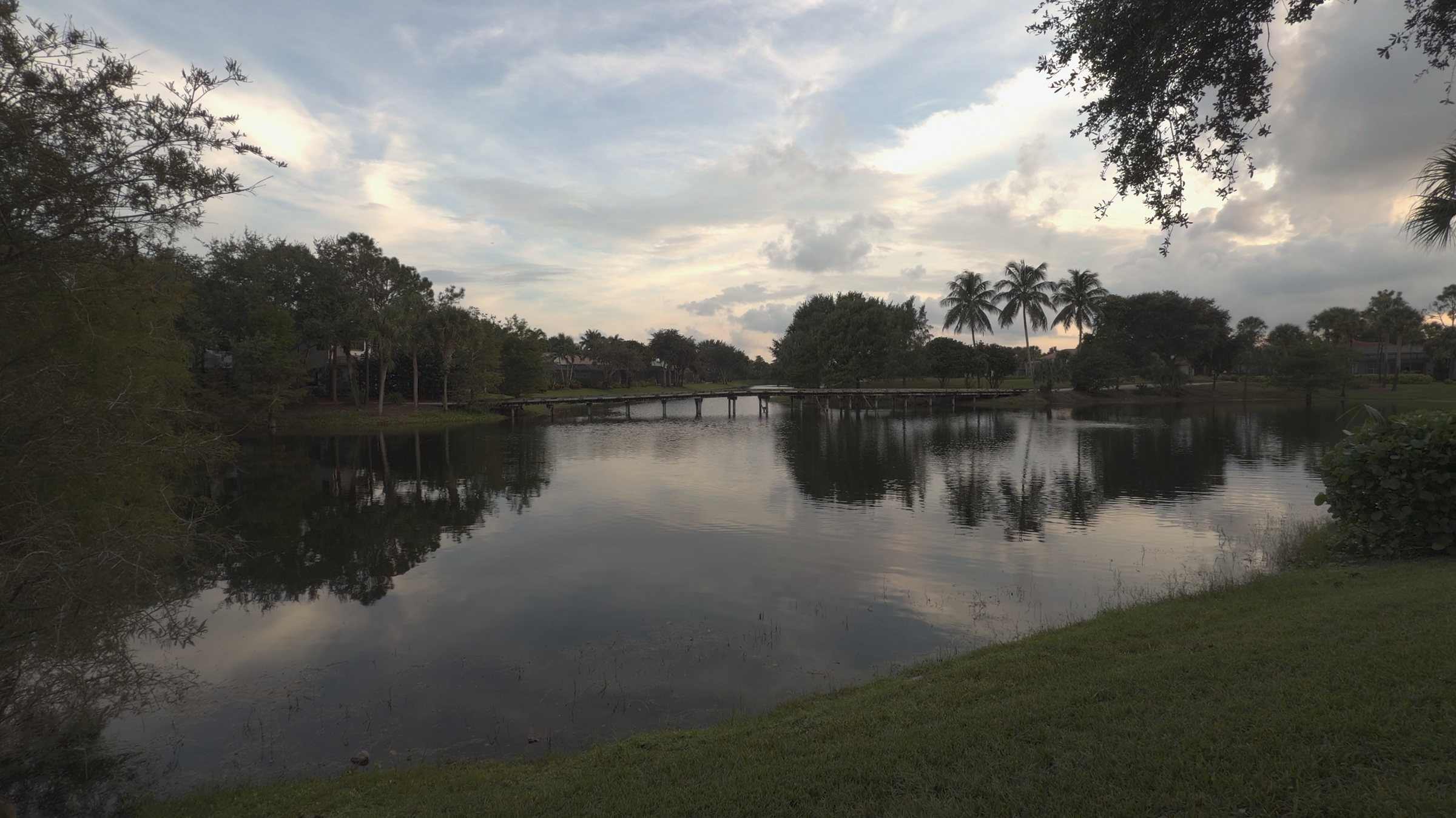 A lake at dusk with palm trees, natural colour — Minuit at 2%